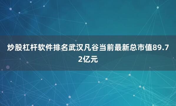 炒股杠杆软件排名武汉凡谷当前最新总市值89.72亿元