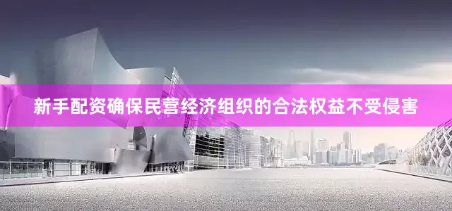 新手配资确保民营经济组织的合法权益不受侵害