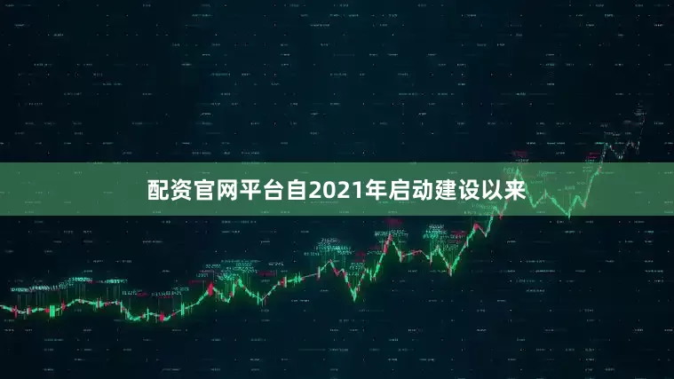 配资官网平台自2021年启动建设以来