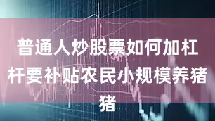 普通人炒股票如何加杠杆要补贴农民小规模养猪